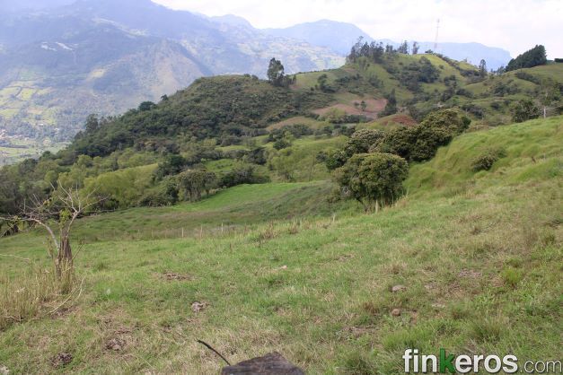 Mana - Finca en Choachí, Cundinamarca